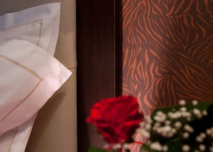 C-hotels Fiume